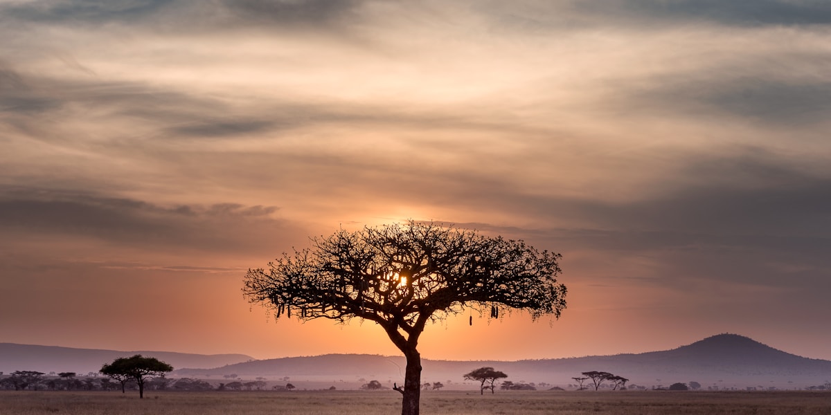 South African infrastructure landscape — SA Infrastructure Report 2025 cover