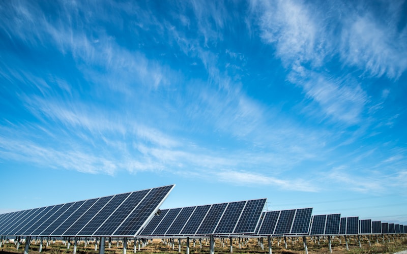 Solar panels in South Africa's renewable energy programme